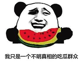 宅家吃瓜用语,解锁网络热议新姿势