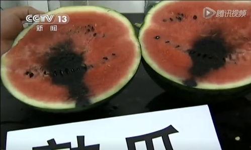 诸城事件吃瓜视频,揭秘吃瓜群众视角下的网络热点视频