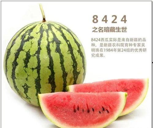 钰儿吃瓜,揭秘娱乐圈幕后故事