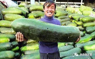 吃瓜群众爱吃糖,揭秘吃瓜群众对糖的热爱