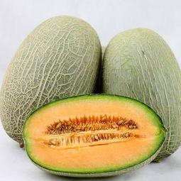哈密瓜吃容,品味甜蜜与健康的完美融合