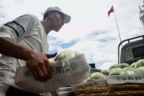 瓜哥带你吃瓜抗日,共赴抗日烽火之旅