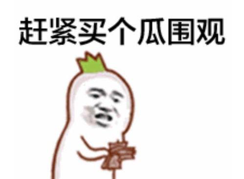 吃瓜权威bgm,吃瓜群众背后的bgm故事