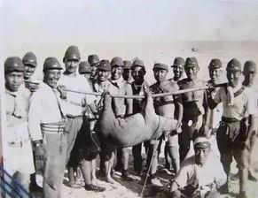 鬼子军官吃瓜,一场荒诞的战争记忆